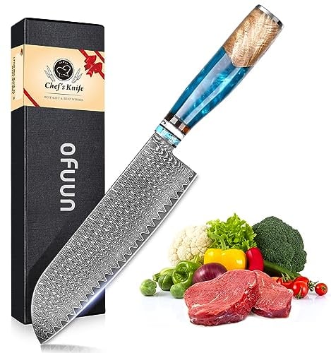 oFuun Coltelli da Cucina Professionali Coltello Cucina Santoku Giapponese in Acciaio Damasco 67 Strati Coltello Chef Professionale - Lama 17,5 cm