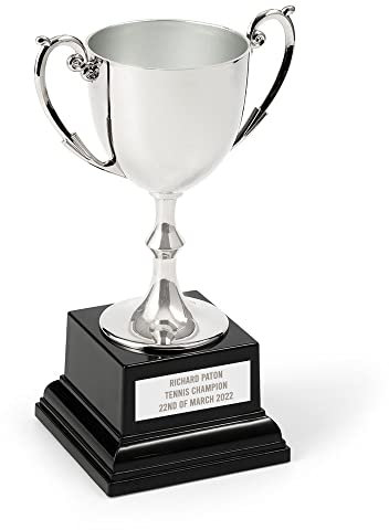 EIO Gifts Personalised Silver Cast Recognition Cup Trophy/Award, with Custom Engraving Ideal for Ceremonies or Competitions. - 7 Sizes To Choose From (8.5 (216mm))