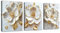WENGTIAO 3 Pièces Fleurs Pivoines Blanc Or Tableau Decoration Murale Encadré Toile Peinture Minimaliste Abstraite Fleurs Decoration Murale Salon Maison Deco Chambre Prête à Accrocher 30x40cm x3
