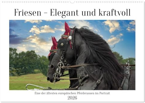 Friesen - elegant und kraftvoll (Wandkalender 2026 DIN A2 quer), CALVENDO Monatskalender: Eine der ältesten europäischen Pferderassen im Portrait (CALVENDO Tiere)