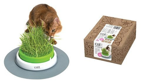Catit Senses Grass Planter Cat Grass Kit - Pack of 3 for the Senses Grass Planter