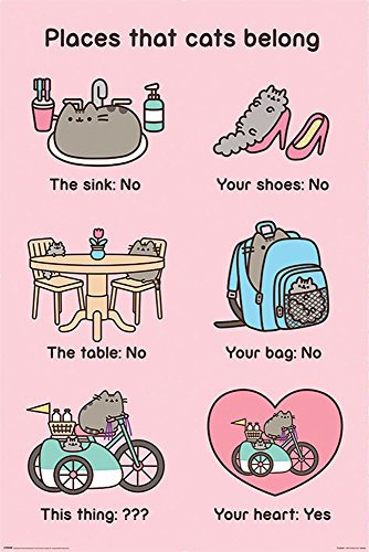 empireposter Pusheen - Places Cats Belong - Katzen Poster Druck Plakt - Größe 61x91,5 cm