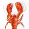 Lunchservietten Lobster, von Ihr Ideal Home Range
