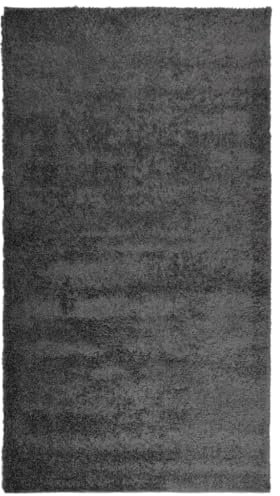 vidaXL Teppich Shaggy Hochflor, Bodenteppich Weich Flauschig, Flächenteppich für Wohnzimmer Schlafzimmer Flur, Flurteppich Hochflorteppich, Modern, Anthrazit 60x110cm