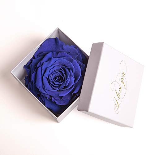 Infinity Rose in Blau konserviert weiße Rosenbox mit Goldschrift I LOVE YOU Geschenk für Frauen und Freundin (1 Rose, Weiß-Blau)