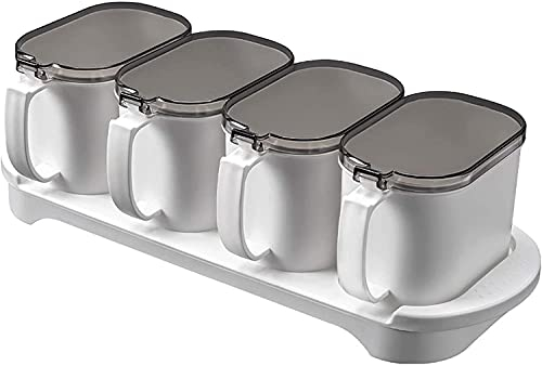 Pot À Épices En Plastique Avec Poignée Rabattable, Boîte D'assaisonnement, Conteneurs De Pots À Condiments, Ensembles Séparables De Salière Et Poivrière Pour Restaurant De Cuisine-C