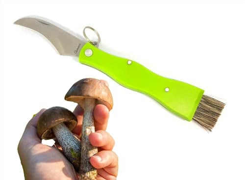 armeriaonline Coltello Funghi con Spazzola Coltello per Raccolta Funghi Porcini cardoncelli Tartufo con Lama in Acciaio Inox con Custodia