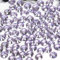 1000pcs 4mm Flat Back Non-Stick Rhinestone Crystal Diamantes Nail Art & Craft Scrapbooking Embellishments 90 Available Colours (4mm, Lilac #17)