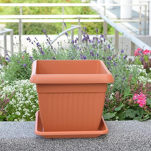 KAGM Quadratischer Blumenkübel Blumentopf Pflanztopf in Terracotta - 30cm x 30cm | H = 25,5cm / mit Untersetzer