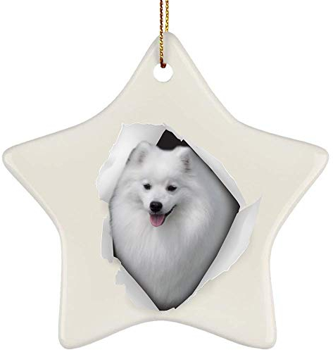 Weihnachtsbaum Deko Keramik Weihnachtsbaumschmuck Mit Hanfseil Christbaumschmuck Anhänger Lustiger Deutscher Spitz, Der Aus Einer Rissigen Wand Kommt