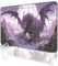 MTG Spielmatte, 24 x 14 MTG TCG Spielmatte mit genähten Kanten HD Druck Spielmatte für Kartenspiele Anti-Rutsch Gaming Spielmatte mit Aufbewahrungstasche Dinosaurier Kampfspielmatte