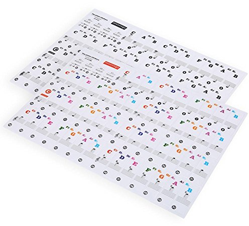 61/88 Key Piano Sticker, Transparent Removable Piano Keyboard Notes Label Decal Piano Beginner Kids Learning Training Tool (Colored)
