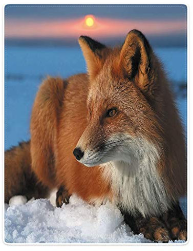YISUMEI Decke 120x150cm Flauschige Kuscheldecke Weich Flanell Fleecedecke Schnee Rote Fuchs