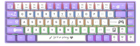 Xiuganpo Wired Mechanical Keyboard, 68 Keys RGB Backlit Compact Gaming Keyboard Blue Switch Double Color Keycaps, Small and Agile, ABS, and Youthful Design, For Laptop PC (Blue Switch - Purple White)