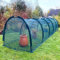 GardenSkill Serre Tunnel Jardin 500x100cm | Tunnel Potager avec Filet Anti-Oiseaux Anti-Insecte | Protection pour Semis, Salade, Poireaux, Fraises, Jardinières | Housse de Croissance, 4 Portes Zippées