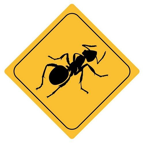 FahnenMax Autoaufkleber Sticker Achtung Ameise Aufkleber