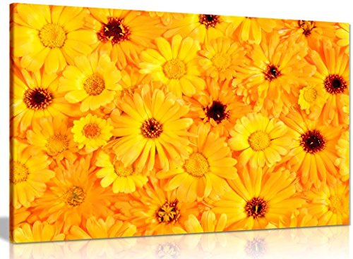 Orange & Yellow Flowers Canvas Wall Art Picture Print (30x20in)