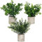 BELLE VOUS Mini Künstliche Pflanzen Eukalyptus in Töpfen (3 STK.) - Kleine Pflanzen Künstlich in Töpfen - Schreibtisch Deko Pflanzen für Büro, Schreibtisch, Haus, Küche, Garten, Tisch und Badezimmer