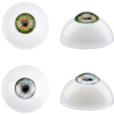 PandaHall 32mm Realistische Menschliche Augen 2 Paar Große Acrylhohle Augäpfel Bärenaugen Acryl AugäpfelFür Halloween Party Dekor Kunst Skulpturen Requisiten Schmuckherstellung