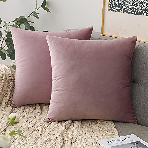 Couchkissen mit füllung und bezug 40 x 40 cm - Samt dekokissen (2 Kissen +2 Kissenbezug 40x40) deko Kissen - sofakissen zierkissen (Pink Lila)