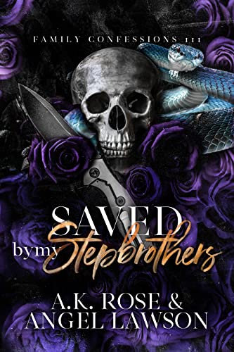 Saved by My Stepbrothers: Family Confessions (English Edition)