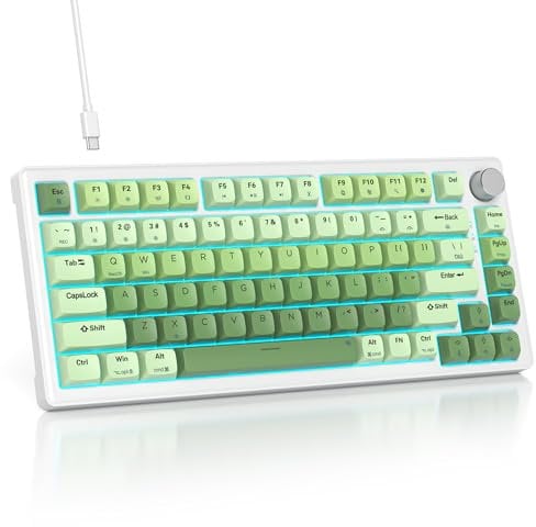 SOLIDEE Mechanical keyboard wired 75 percent,Hot Swappable Keyboard with Gasket Structure,RGB Backlit TKL Keyboard,82 Keys NKRO Compact Mechanical Keyboard with Volume Knob(82 Matcha Gradient)