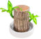 Brasilien Glücksholz Potted | 2024 Brazilian Lucky Wood Pflanzen | Hydroponic Potted Stump Plant | Hydrokulturpflanze aus brasilianischem für den Schreibtisch