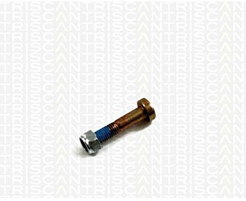 Triscan 8500 16861 Mounting Kit, control lever
