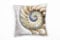 Paul Sinus Art Natur, Macro, braun, Nautilus-Muschel Deko Kissen 40x40cm für Couch Sofa Lounge Zierkissen - Dekoration zum Wohlfühlen