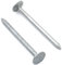 1 x 1kg (1000g) Pack of 25mm x 3.0mm GALVANISED ELH Clout Nails