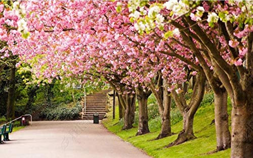 ZXCHEE Fototapete Rosa Pfirsichblütenwald 350x245cm Tapete Kinderzimmer Vliestapete Wohnzimmer Schlafzimmer Wandtapete Deco