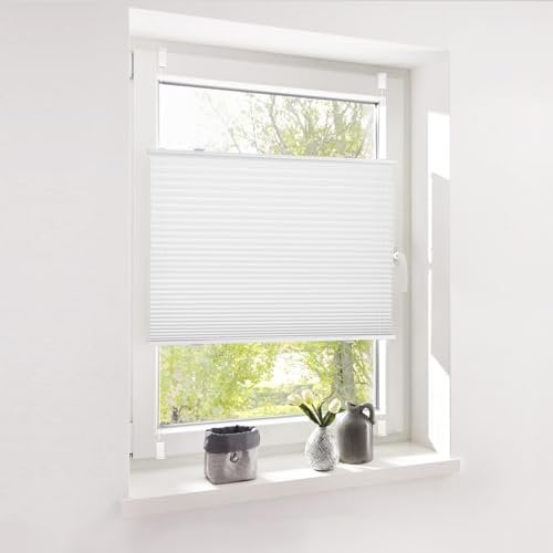 Deswell Plissee ohne Bohren Klemmfix Weiß B120 x H120cm Plisseerollo Sonnenschutz und Sichtschutz Jalousien Easyfix Plissees Lichtdurchlässig Rollo für Fenster & Tür