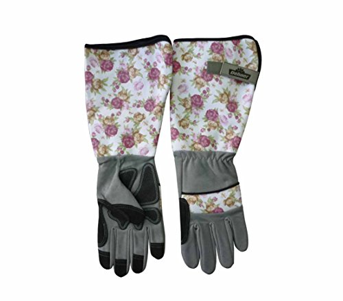 Dehner Rosenhandschuh, Strauchhandschuh Größe 7 / S