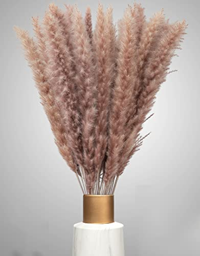 Farrell Brec 30 Stück getrocknetes Pampasgras in braun - extra langlebig und 70-75cm Lange Trockenblumen - Pampasgras Deko Wohnzimmer , Schlafzimmer, Vase Trockenblumenstrauß (Braun)