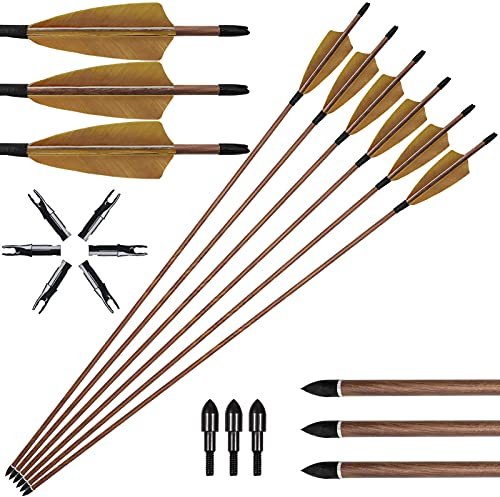 Carbon Pfeile Jagdpfeile 500 Spine Bogenschießen mit Naturfedern Austauschbare Spitzen Zielübung Pfeile für Bogen Compoundbögen Recurvebogen und Langbogen 6er Set (29 Zoll)