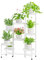 iDavosic.ly 8 Etagen Metall Pflanzenständer Blumentopfständer, Mehrstöckig Pflanzenregal Blumenregal Pflanzentreppen für Zimmerecke, Wohnzimmer, Balkon, Terrasse, Hof (Rund, Weiß)