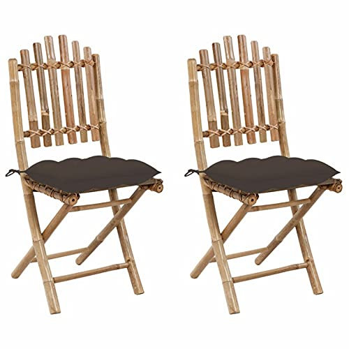 ZEYUAN Chaises Pliables de Jardin 2 pcs avec Coussins Bambou,Chaises De Jardin,Fauteuil De Jardin,Fauteuil Jardin Exterieur Plastique