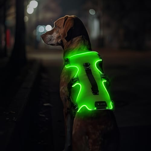 Jewyow Hundegeschirr Leuchtend, Wiederaufladbare LED Hundegeschirr, Led Geschirr für Hunde mit Weicher Griff, 3 Einstellbare Modus, Wasserdicht für Mittelgroße, Große Hund, Green-L