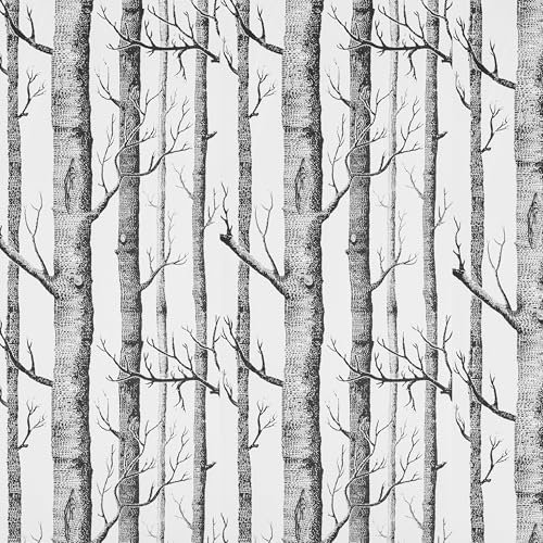 AMIGO Carta da parati autoadesiva in vinile bianco e nero, motivo albero di betulla, rimovibile, per pareti, mobili, inquilini, impermeabile, 44,5 x 500 cm