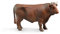 bruder 02309 - Toro, marrone, toro, vitello, bovino, animale, fattoria, agricoltura, figura giocattolo