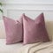 JUSPURBET Pink-Lila Samt-Kissenbezüge 45cmx45cm 2er-Set für Wohnzimmer Couch Sofa Schlafzimmer Dekorative Quadratische Feste Weiche Kissenhüllen mit unsichtbarem Reißverschluss