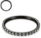 16G CZ Schwarze Nasenringe 10mm Septum Clicker 316L Chirurgische Stahlnasenringe Knorpelohrringe Creolen Daith für Männer Frauen Piercing Schmuck
