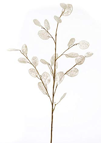 artplants.de Dekozweig Lunaria Zweig BUELNA, Creme, 105cm - Kunstzweig/Silberblatt künstlich