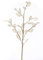 artplants.de Dekozweig Lunaria Zweig BUELNA, Creme, 105cm - Kunstzweig/Silberblatt künstlich
