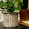 Arthur Cameron Circular Round Wicker Lined Log Basket/Storage Box/Planter (Medium)