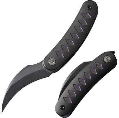 Cavol Kage Klappmesser Front Flipper Messer,64mm M390 PVD Klinge Pikal Messer Taschenmesser Folding Knife,Titanlegierung Griff Klappmesser,Outdoor EDC Pocket Knife (lila)