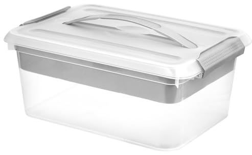 RWFMO Clear Plastic Craft Storage Box with Lid, Handle and Removable Tray