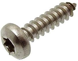 100 Stk. Linsenkopf-Blechschrauben 5,5x19 mm Edelstahl rostfrei V2A - A2 TX/Innenvielzahn