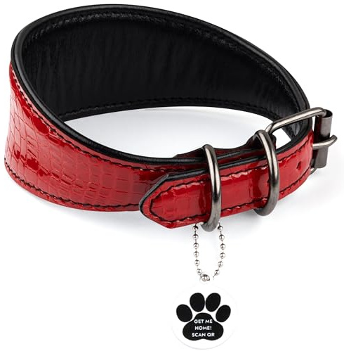 FAVPET Luxus Echtleder Windhund Halsband Breit mit QR Code Anhänger, Weiches Lederhalsband Hund Breit Whippet Italienisches Windspiel Saluki Lurcher Spanischer Galgo Greyhound Podenco (Rot, M)