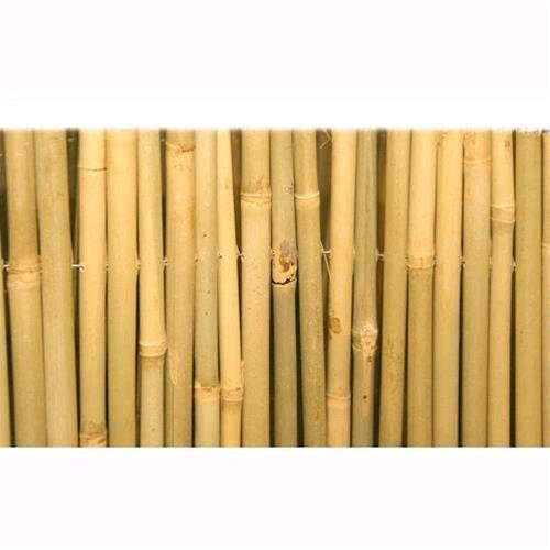 Vorhang Jalousie Master in Rute von Bamboo Saubere Größe 150x 300cm